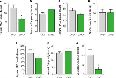 Dietary oleic acid contributes to the regulation of food intake through the synthesis of intestinal oleoylethanolamide